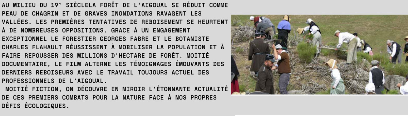 aigoual foret retrouvee
