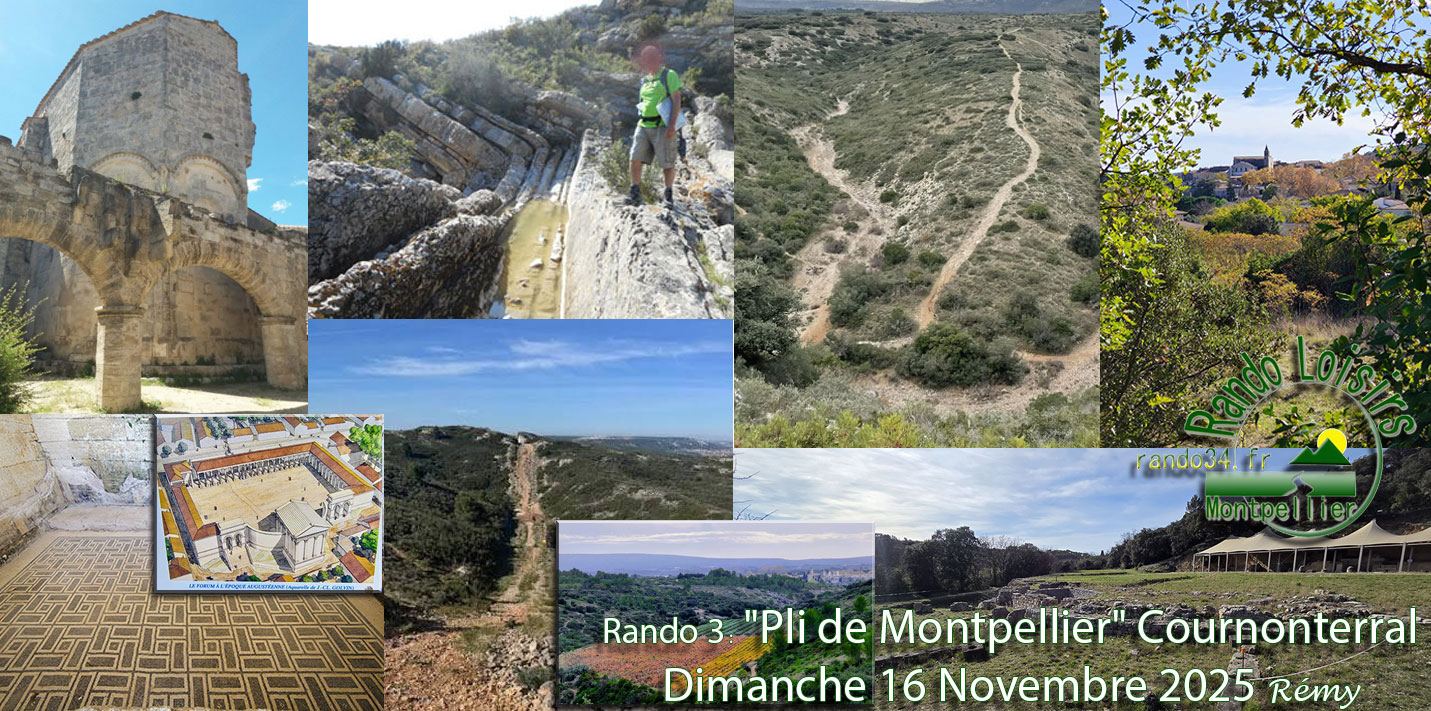 plidemontpellier