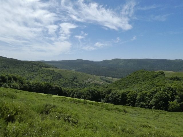 P1100207 640x480