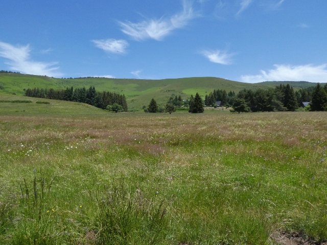 P1100219 640x480