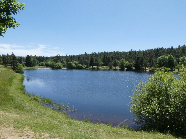 P1100220 640x480