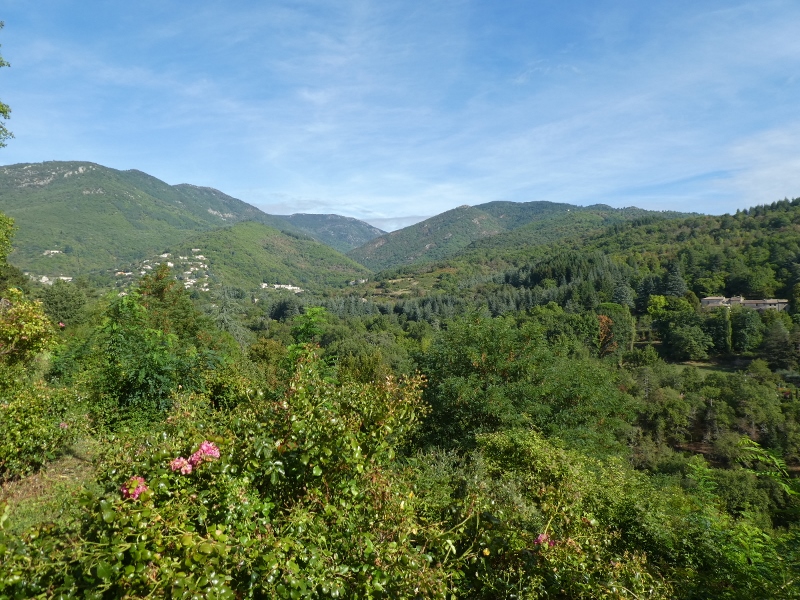 P1090153 800x600